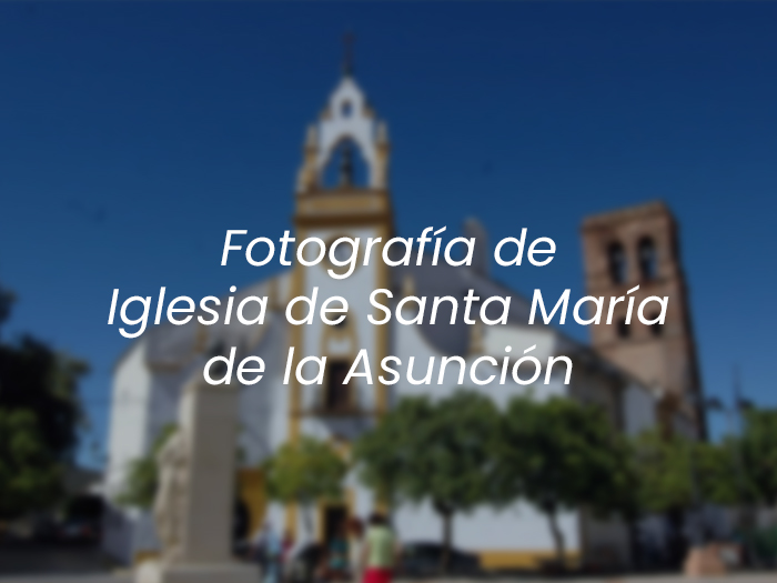 Santa María de la Asunción Fotografía